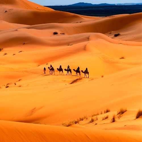 3 Days Marrakech to Fes Desert Tour
