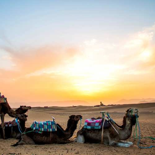 2 days from Marrakech to zagora desert tour