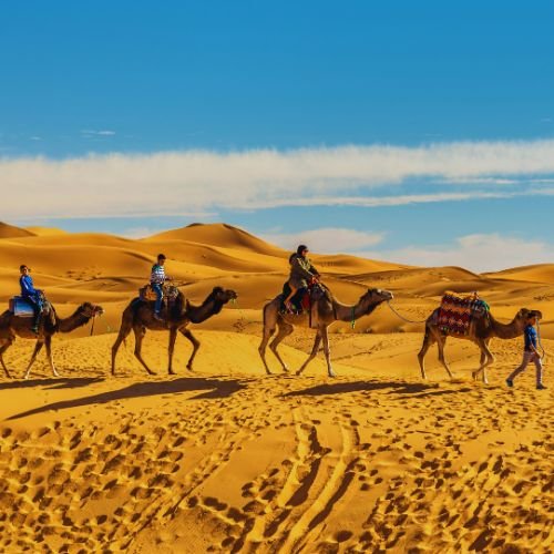 11 days desert tour from Tangier