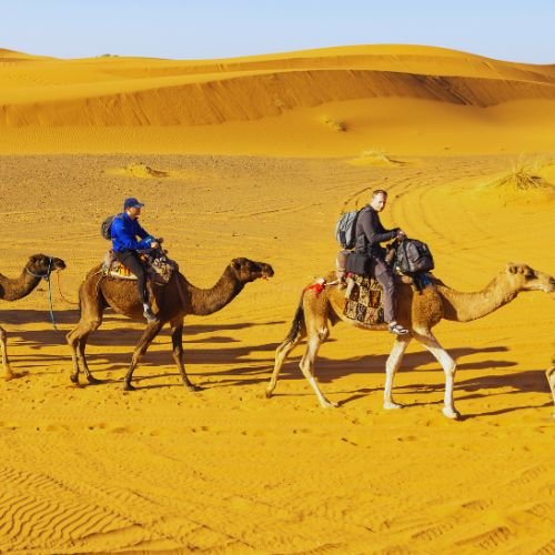 merzouga camel ride
