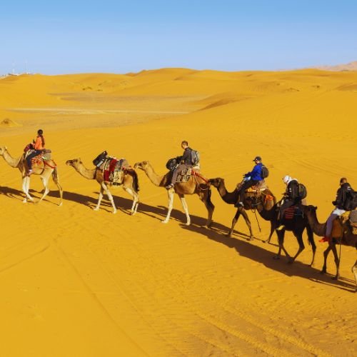 merzouga camel ride